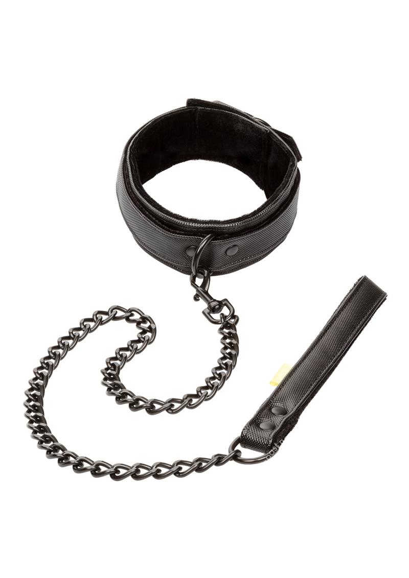 Boundless Collar & Leash - Black