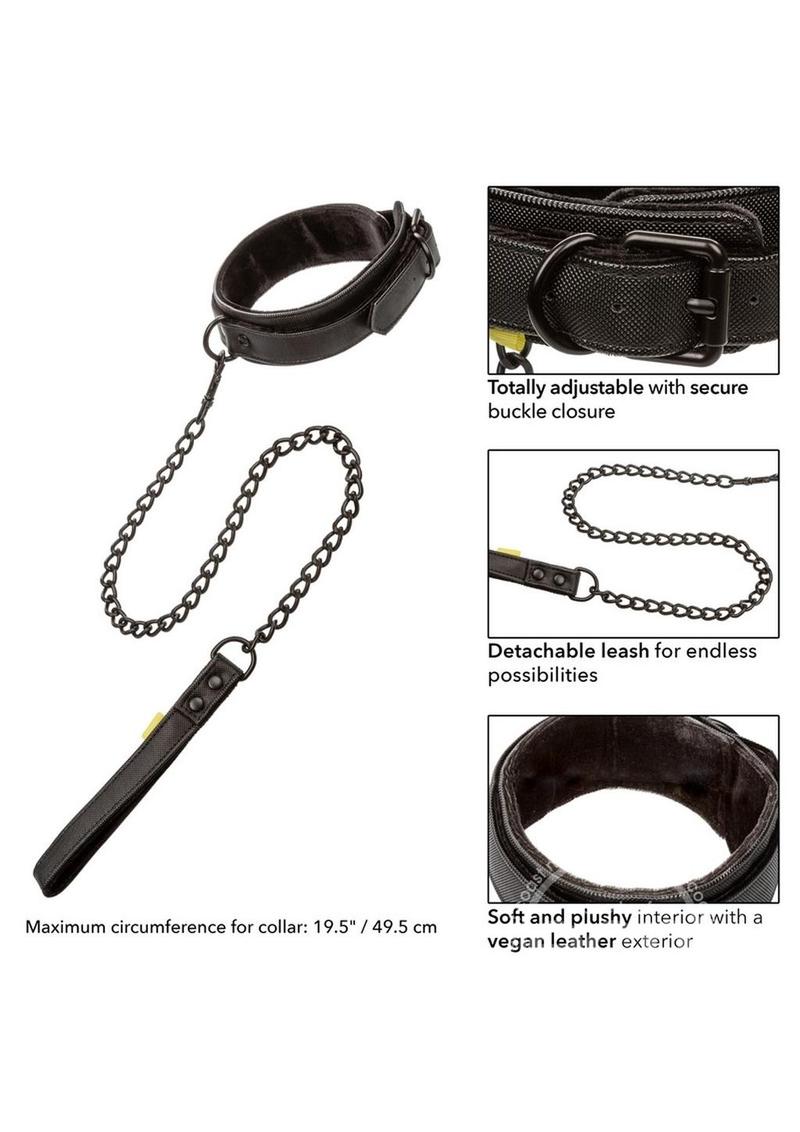 Boundless Collar & Leash - Black